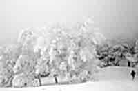 Beyaz �rt� - Foto�raf: Ahmet Ha�imo�lu