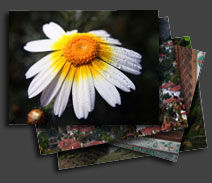 Netfotograf - Fotoğraf gezileri